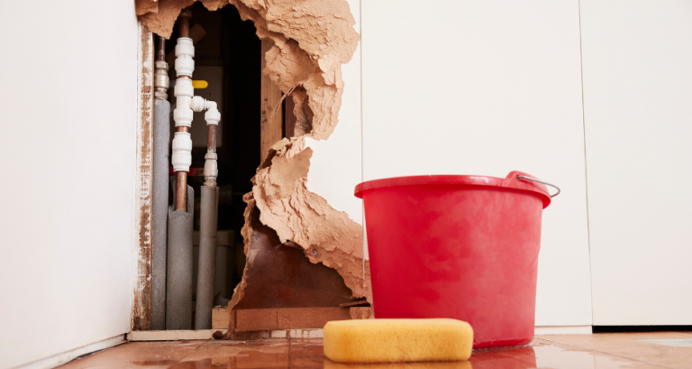 Water and time worked together behind the walls of this home to cause some water seepage and leakage. The wall is wet and crumbling, and the excess water is mopped up with a sponge and bucket.